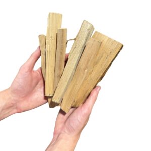 ALLUMES-FEU - Châtaignier